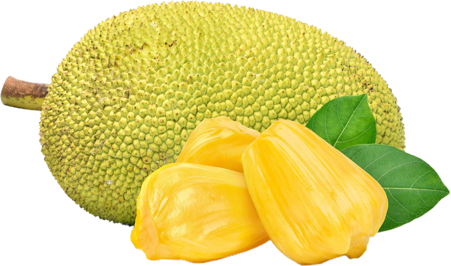 Jackfruit Variety